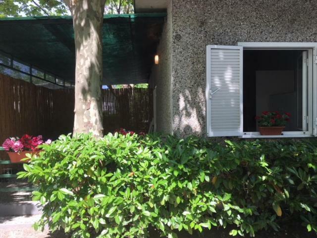 Camping Nuovo Massa  Exterior photo